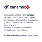 citi-guerrero