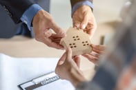 shutterstock_1147869485