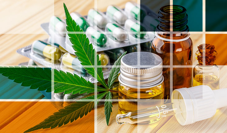 Emprendimiento con cannabis, todo lo que debes saber