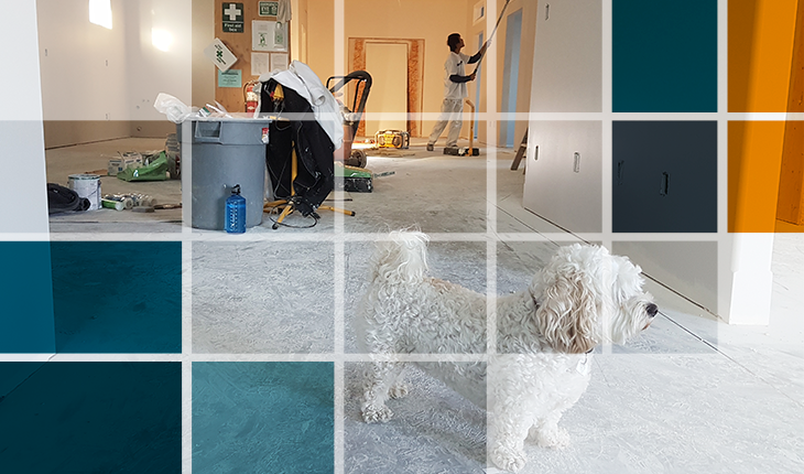 ¿Cómo remodelar mi vivienda con un crédito?